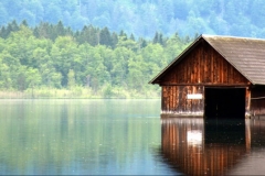 Almsee