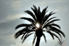 Barcelona im November